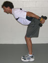 Shoulder Extension