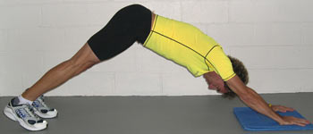 Elbow Stabilzation Push Up + Lockout