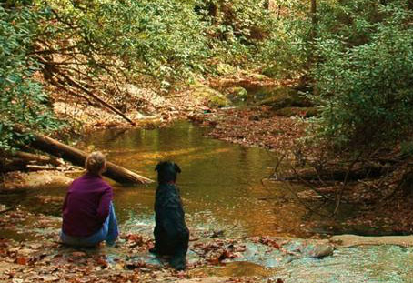 Meredith Emerson & Hiking Partner Ella