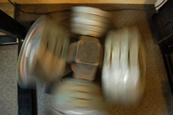 The Gym Rotating Olympic Plate Rack