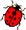 Lady Bug