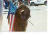 Whitney-July 4 2000